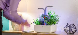 VERITABLE potager interieur scène-6